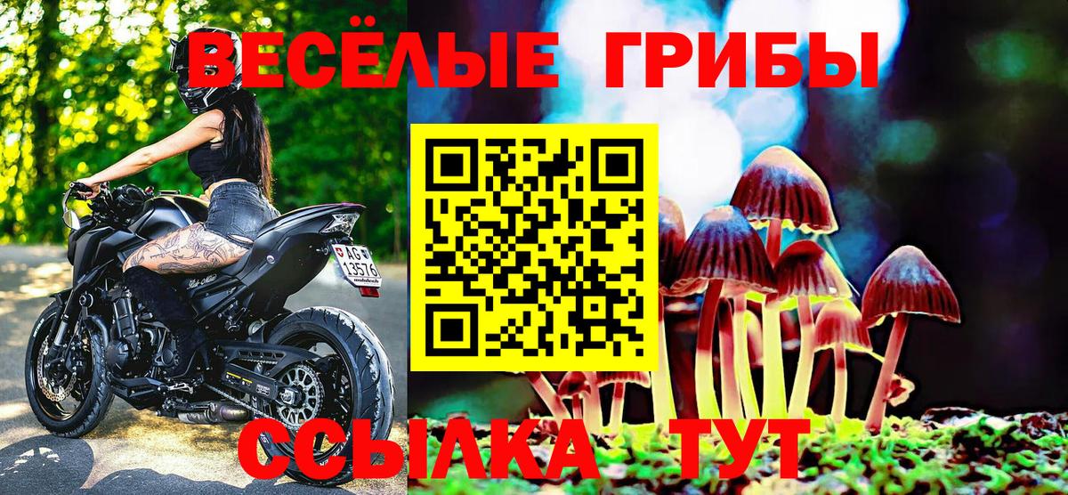 Галлюциногенные грибы GOLDEN TEACHER Когалым