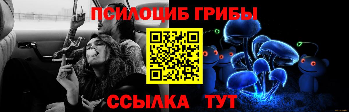 Псилоцибиновые грибы мицелий  Псилоцибиновые грибы MAGIC MUSHROOMS  Когалым  купить наркоту  Вход с VPN 